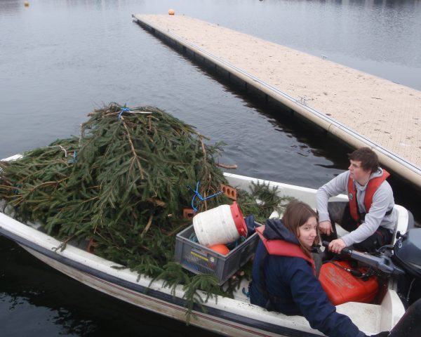 APEM scientists installing Christmas tree bundles at Salford Quays