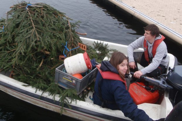 Oh Christmas tree, oh Christmas tree Thumbnail