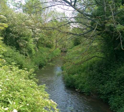 River Teise on a sunny day