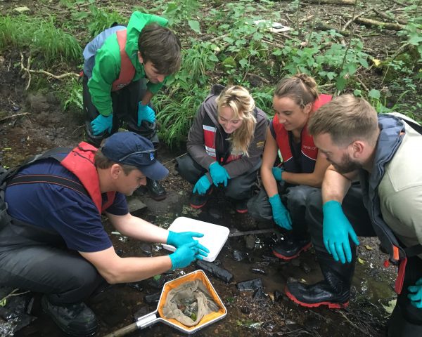 APEM employees inspecting an invertebrate sample