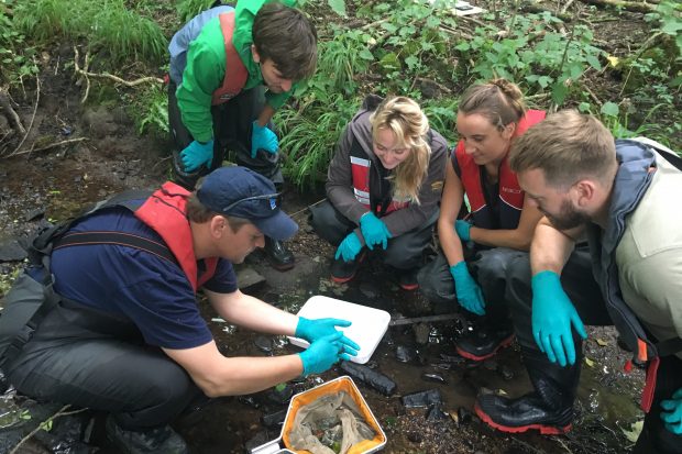 APEM’s field team exceeds £1 million revenue target Thumbnail