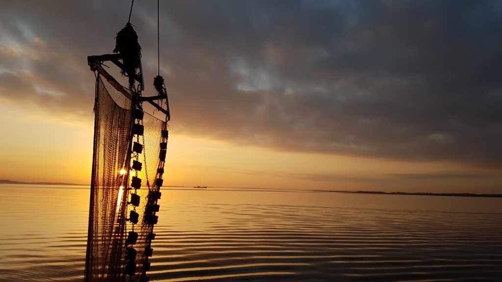 beam trawl at sunset