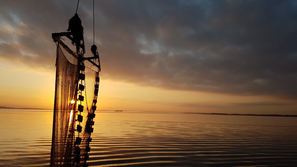 beam trawl at sunset