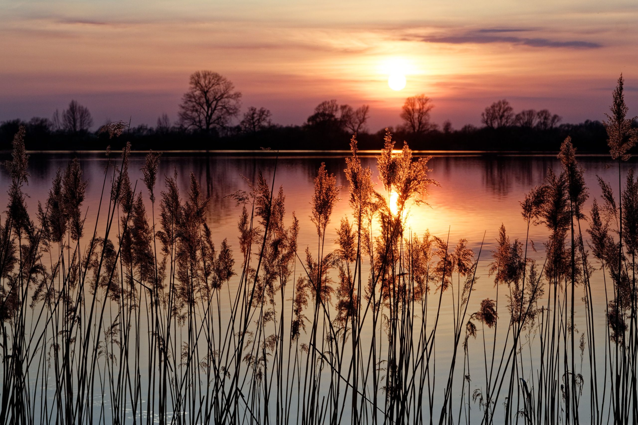 sunset at Ditton fen