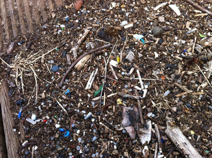 litter from river