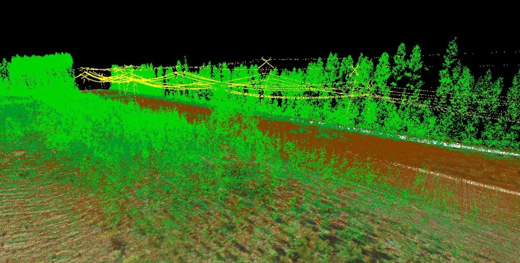 lidar of field with foliage and telephone wires