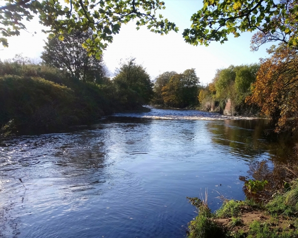 River Lynne Speight in the sun