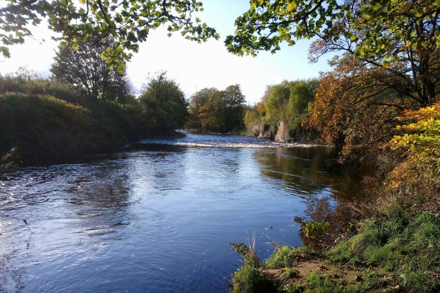 Improving rivers by tackling pollution from storm sewer overflows Thumbnail