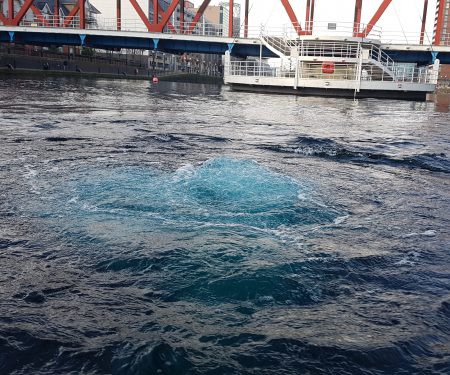 Managing algal blooms Thumbnail