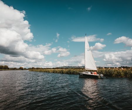 Environmental monitoring programmes Thumbnail