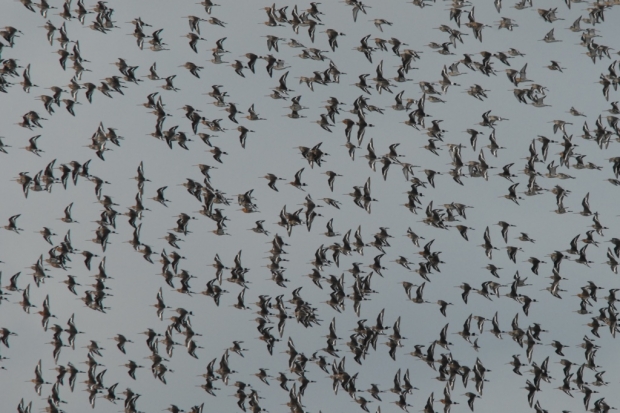 Welcoming Beth and Emily back to APEM Thumbnail