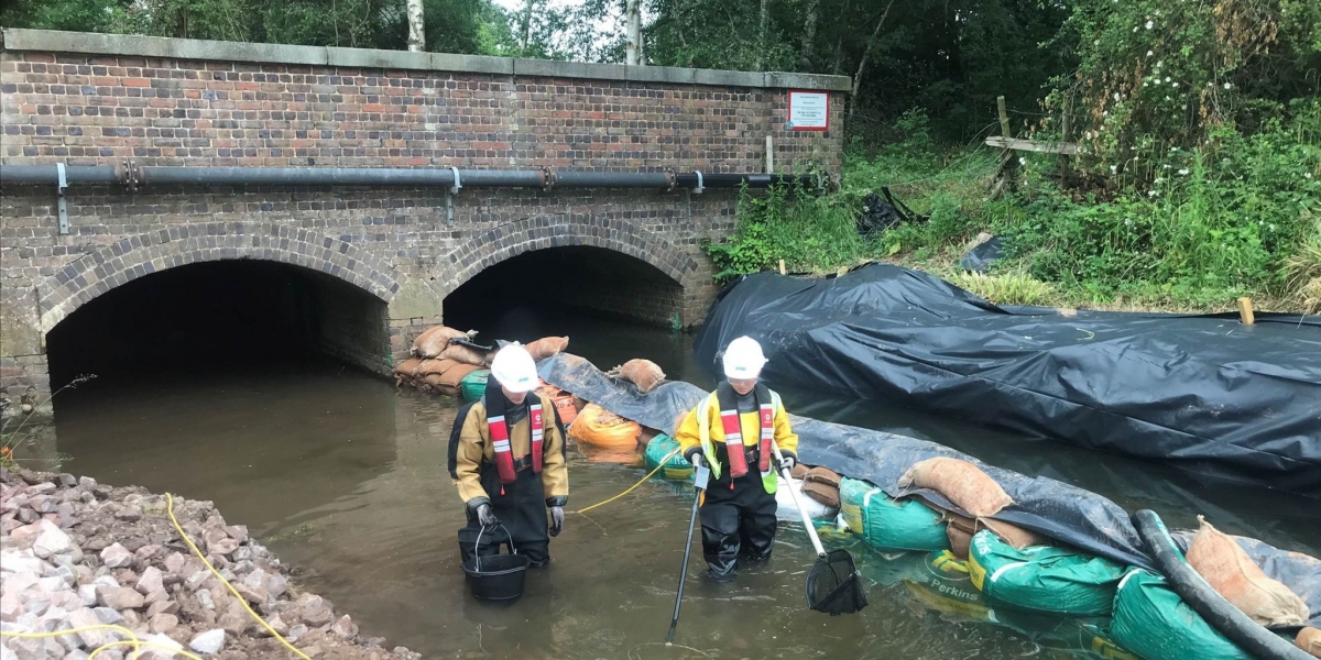 APEM staff members electric fishing