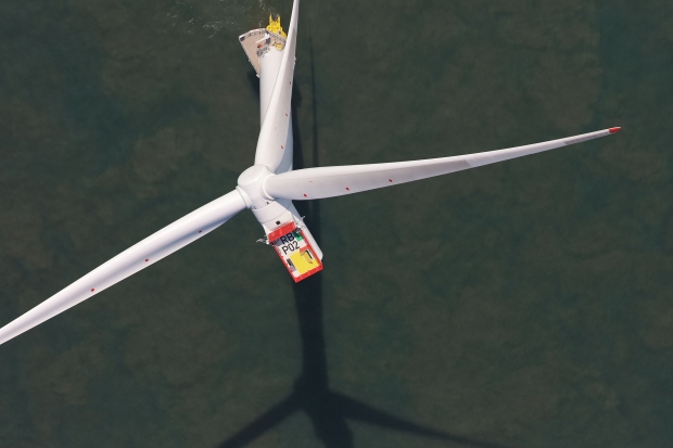 Supporting the rapidly growing offshore wind market with expert ornithologists and technology Thumbnail