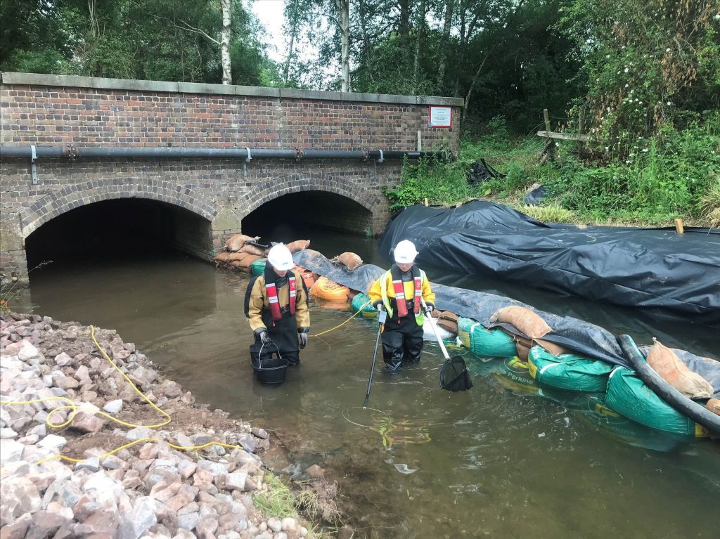 River Bourne rescue