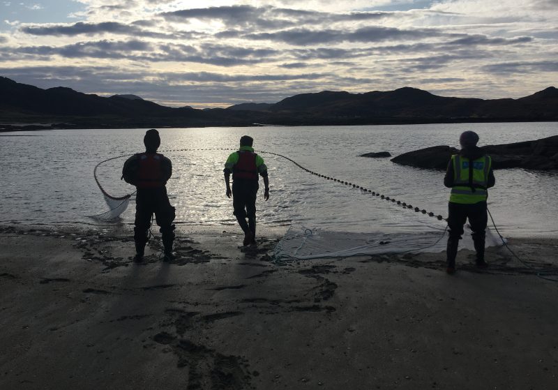 Apem staff using a seine net