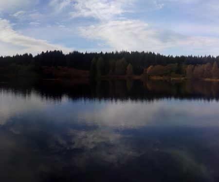 Water Framework Directive (WFD) Thumbnail