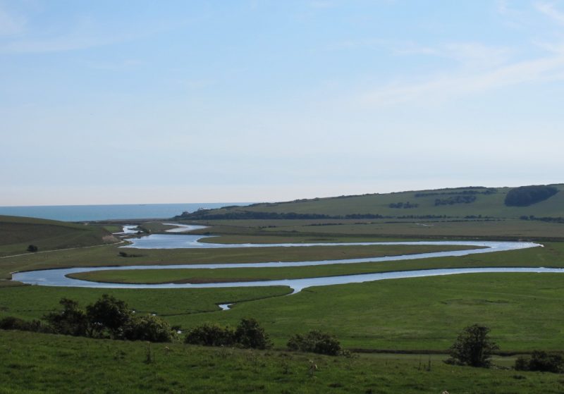 Wetlands with a river running through