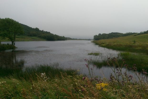 Supporting development of the Lisvane & Llanishen reservoirs Thumbnail