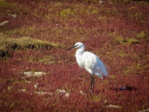 Nick Fewings on Unsplash