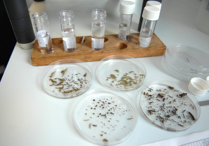 Petri dishes and Viles