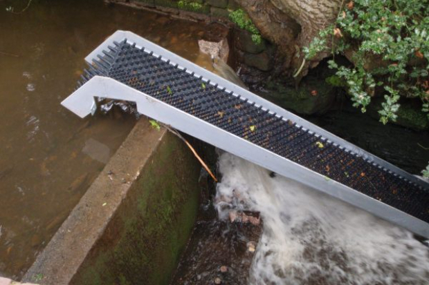 Fish passes installed and weirs removed on River Worfe Thumbnail