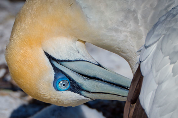 APEM’s Photo of the Year 2021 – the winners are announced! Thumbnail