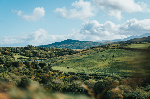 Environmental monitoring tip sheet Thumbnail