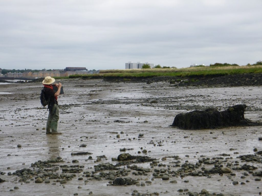 APEM team member photographing the estuary