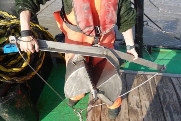 Marine ecology surveys and EIA for The London Resort Thumbnail