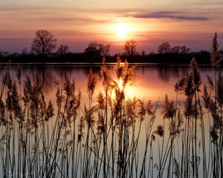 Sunset at Fen Ditton