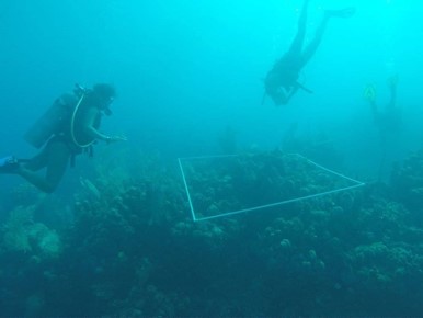 Two people completing an underwater survey 