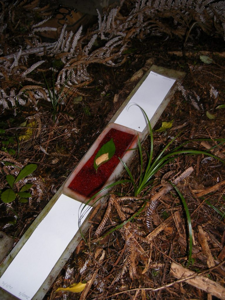 APEM footprint tunnel for mammal monitoring