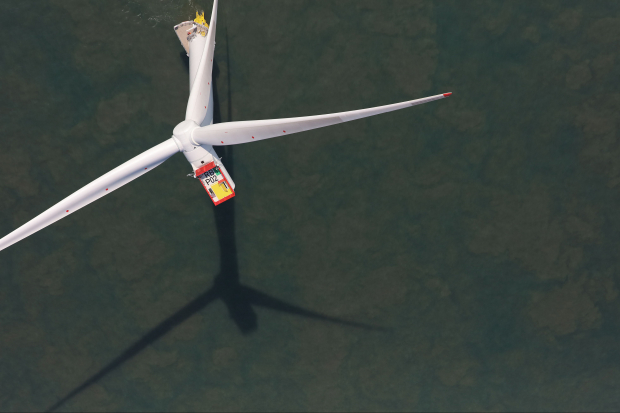 Offshore wildlife surveys underway at Race Bank Thumbnail