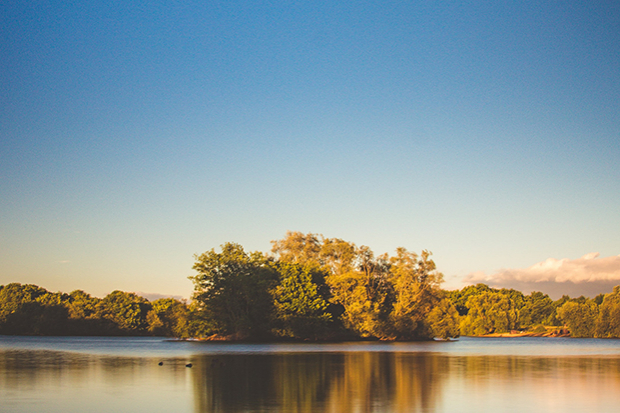 The benefits of eDNA as a survey technique Thumbnail