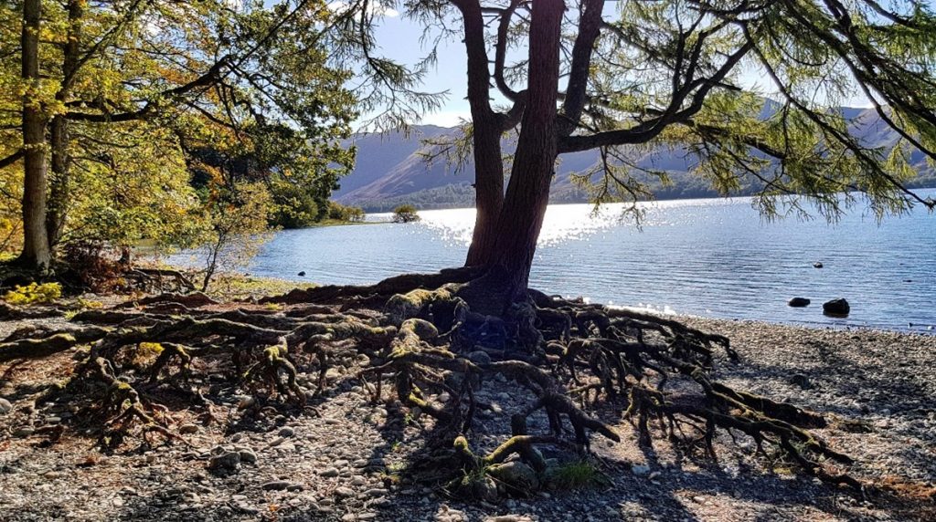 APEM Derwent Water