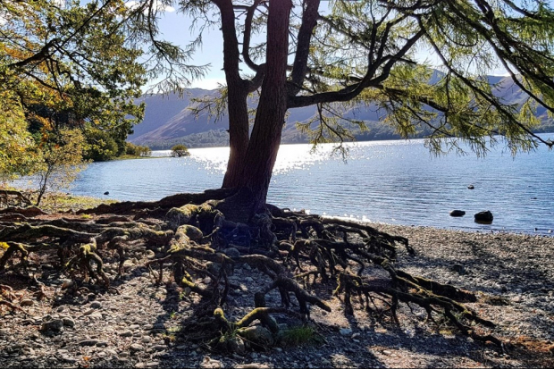 Biodiversity decline an ‘existential risk’ to humanity: Environment Agency Thumbnail