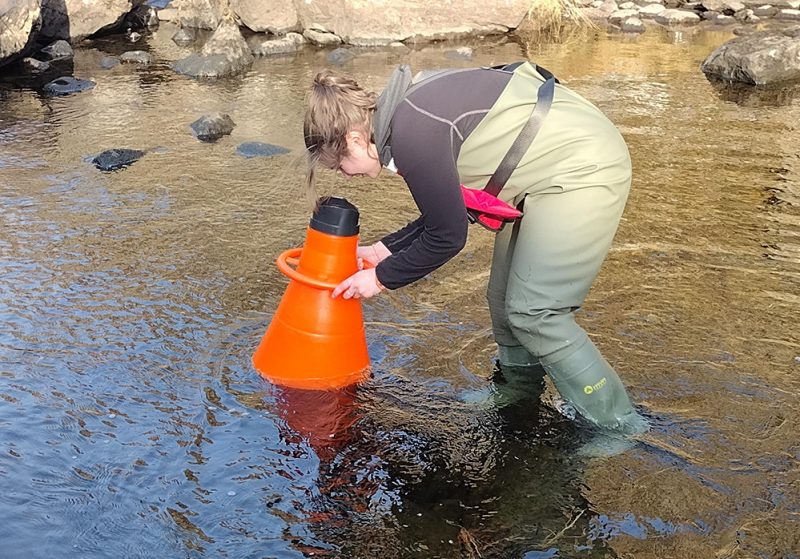 Surveys of freshwater water pearl mussels being undertaken by a field team member using a bathyscope