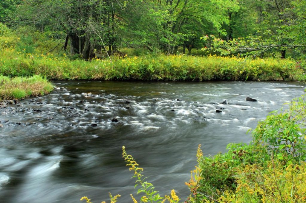 Hydro-Ecology Toolkit: predicting the impacts of abstraction