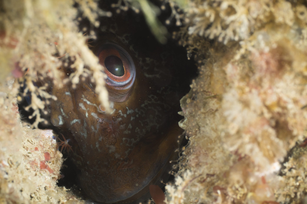 APEM’s Photo of the Year 2020 Thumbnail