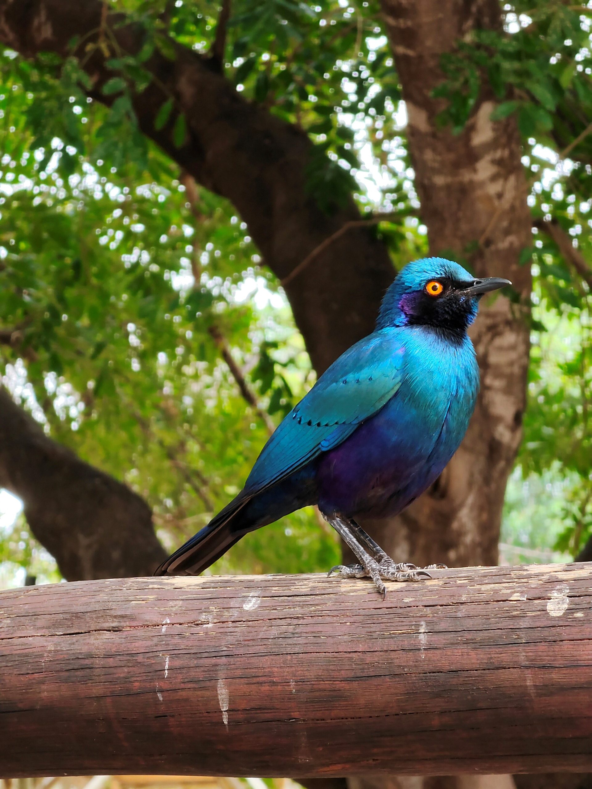 APEM - POTY 2022 April winner