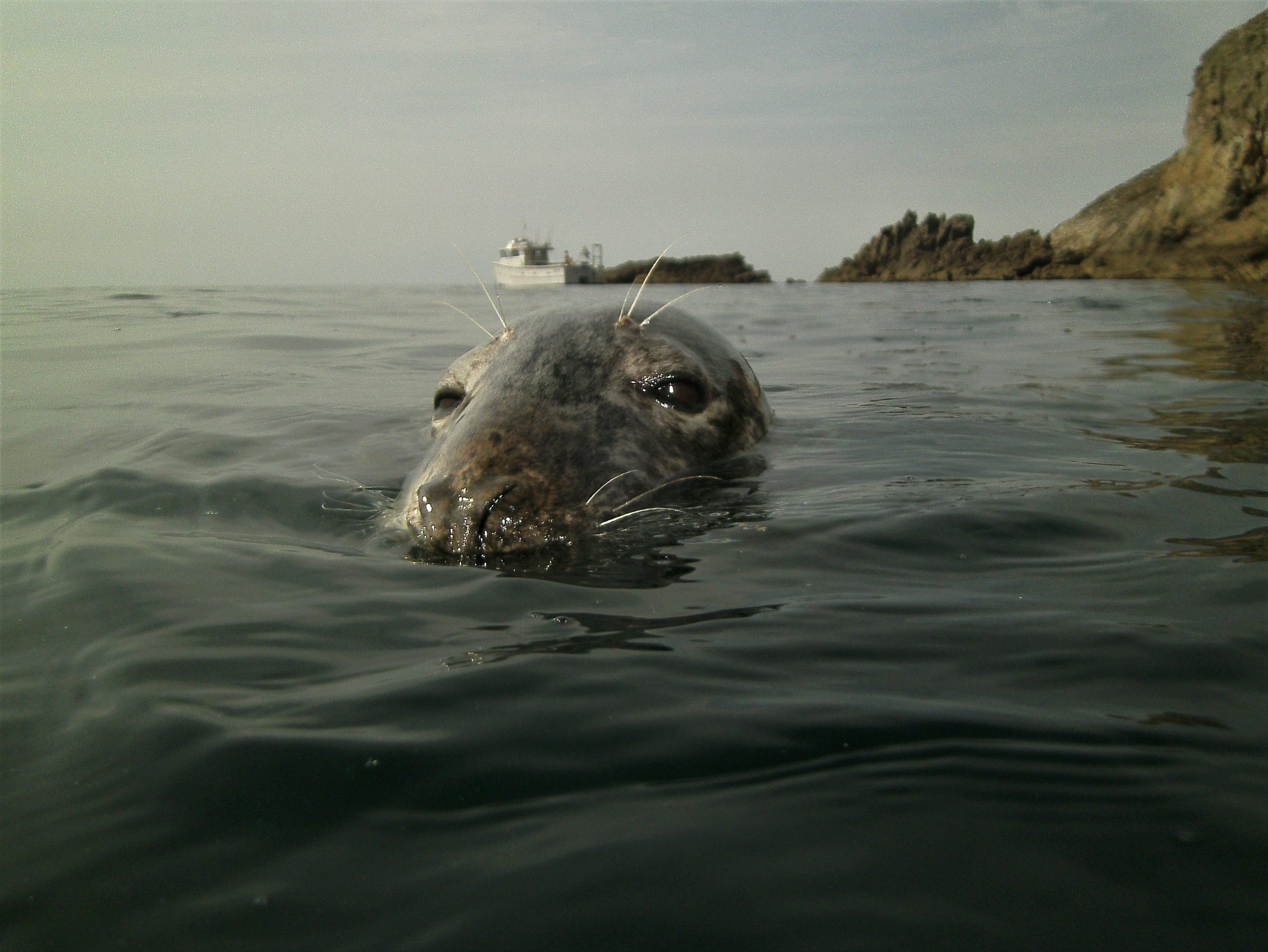 APEMs 2022 picture of the year competition winner