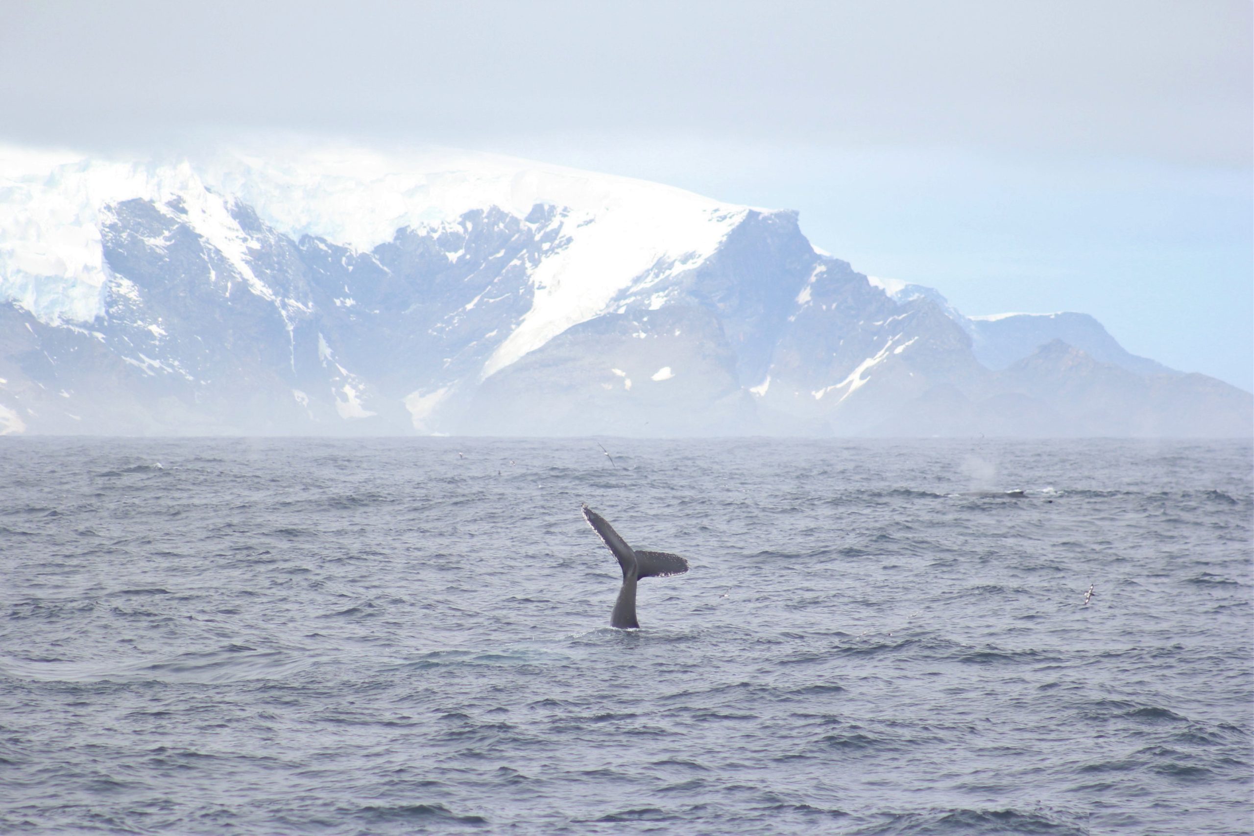 APEM - POTY 2022 Feb winner