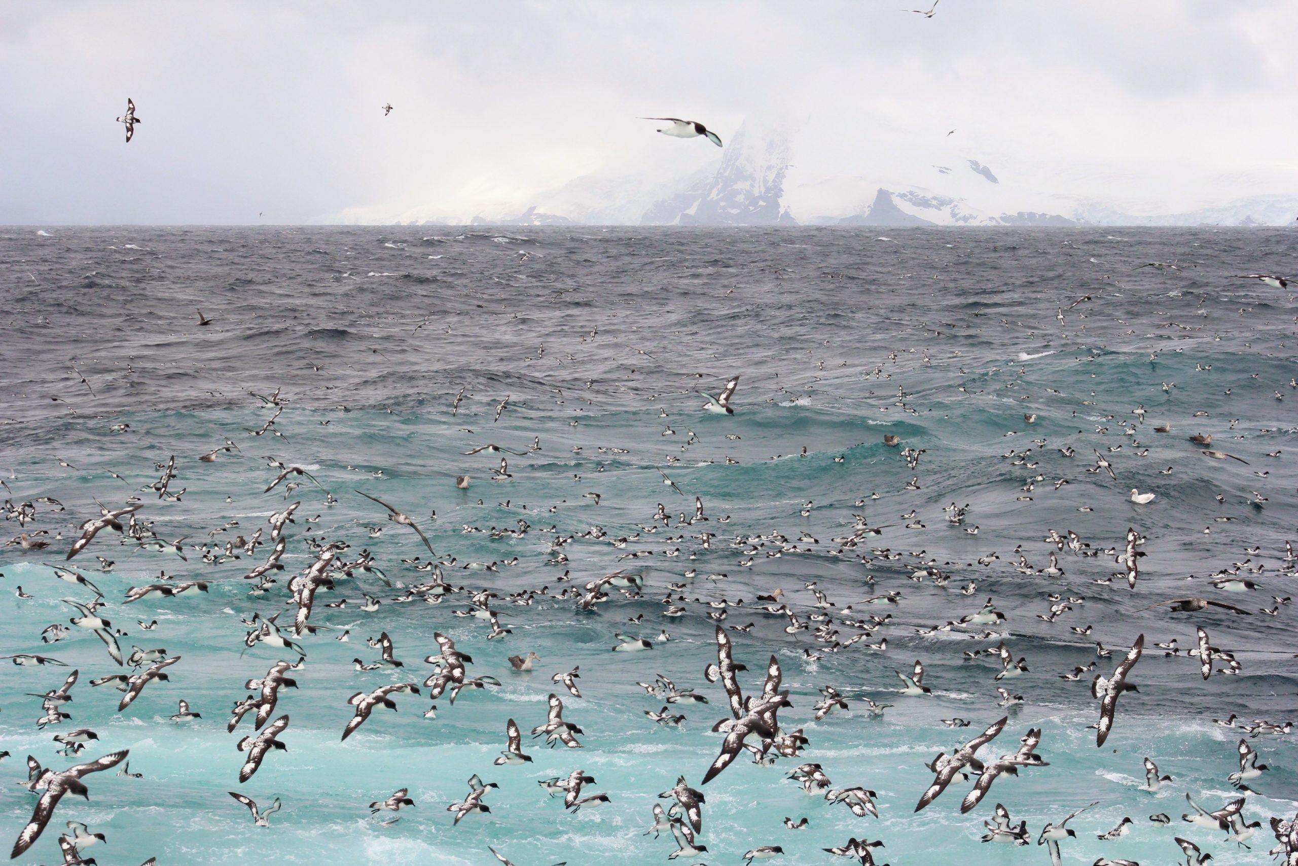 APEM - POTY 2022 January winner