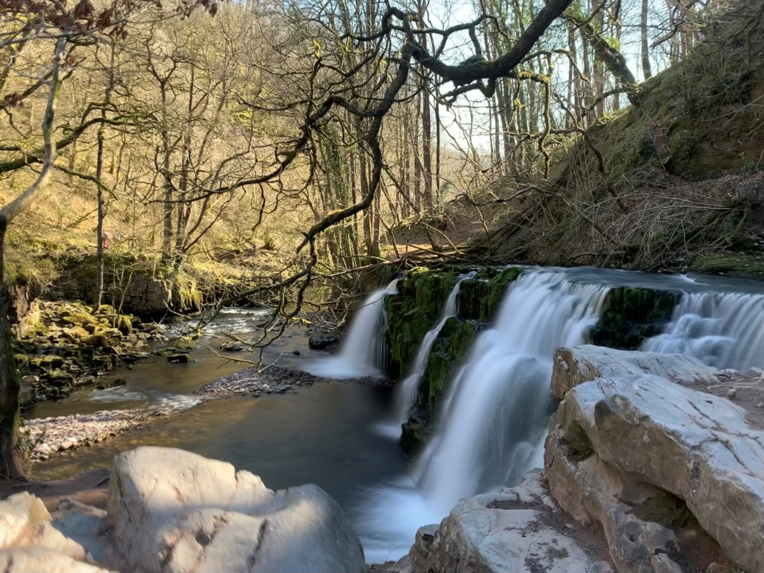 APEM - POTY 2022 March winner