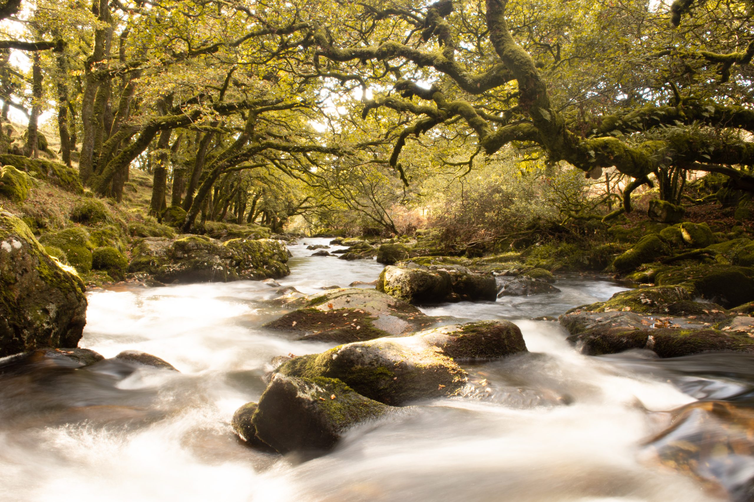 APEM - 2022 POTY October winner 