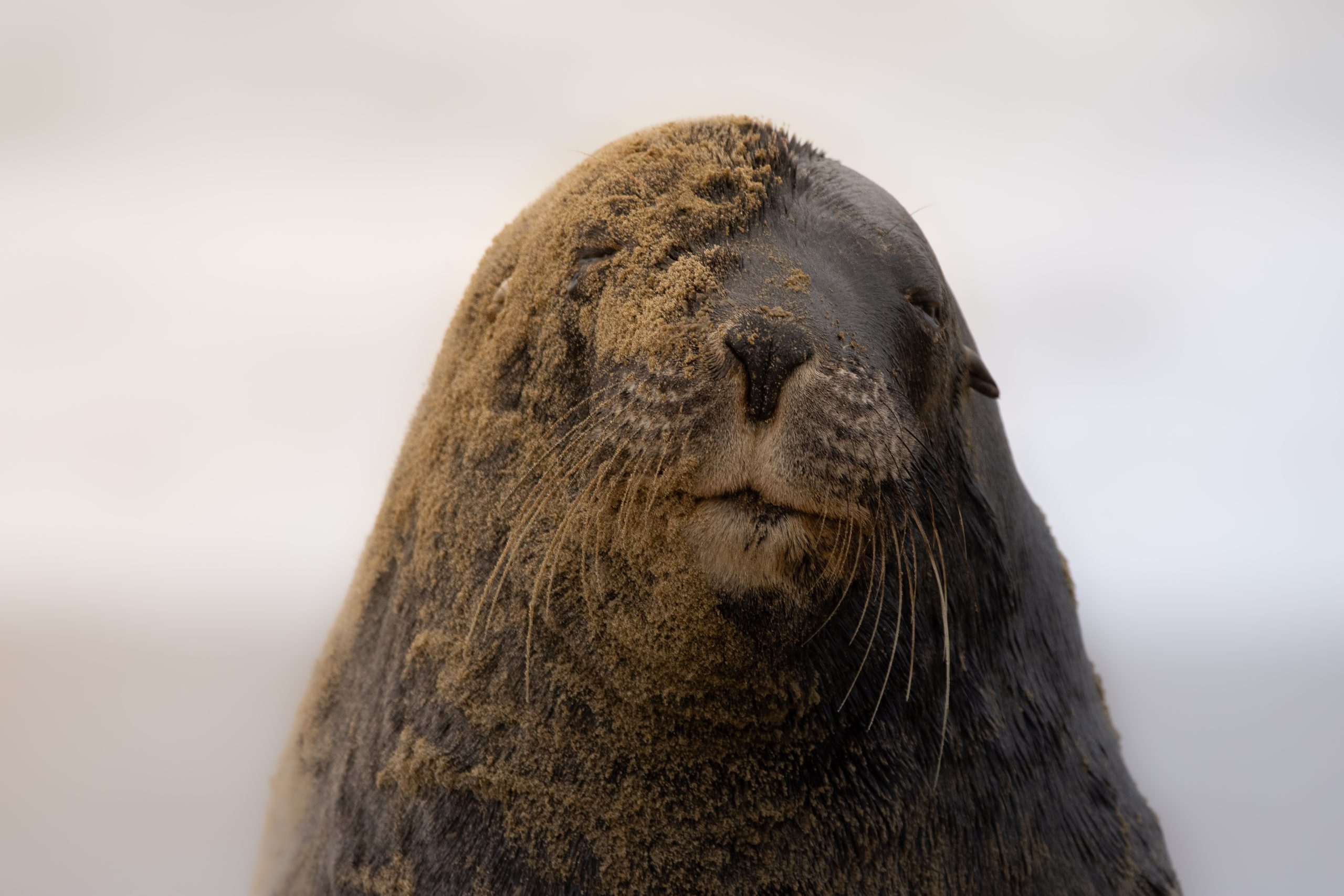 APEM - 2022 POTY September winner