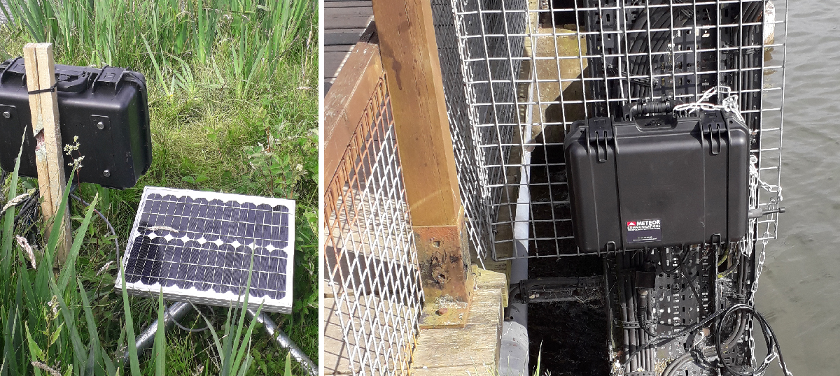 An image of a small black box on grass, alongside a solar panel