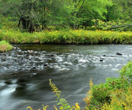 Hydro-Ecology Toolkit: predicting the impacts of abstraction