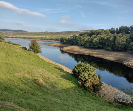 SAI-RAT: assessing the risk of invasive species for SROs