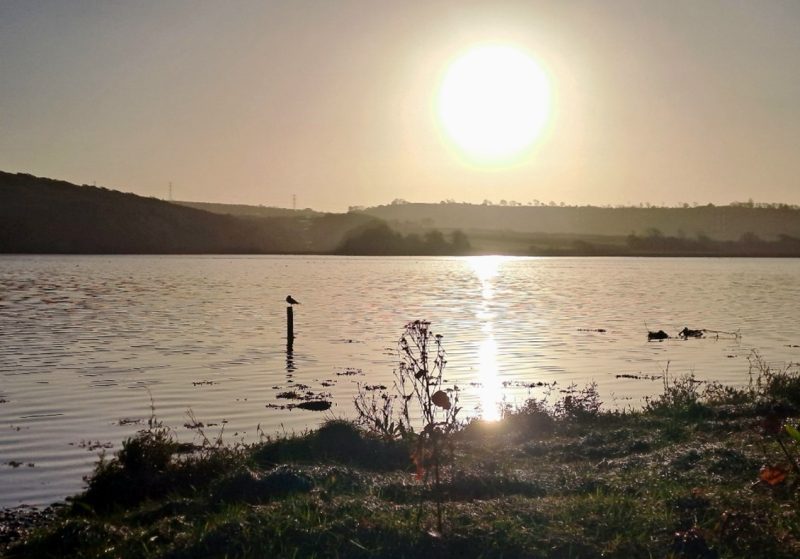 A landscape image of The Rivery Tavy
